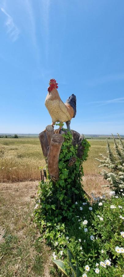 Masseria Milu' سيبونتو المظهر الخارجي الصورة